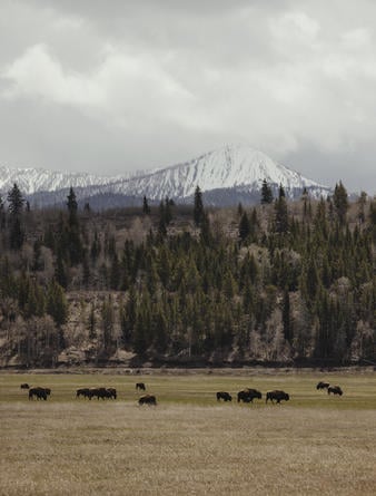 Amangani, USA - Experiences, Grand Teton National Park