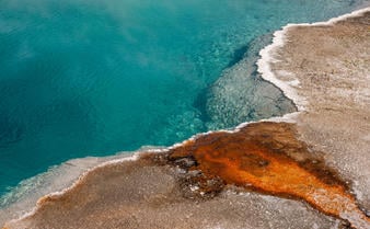 Amangani, USA - Experience, Yellowstone National Park 